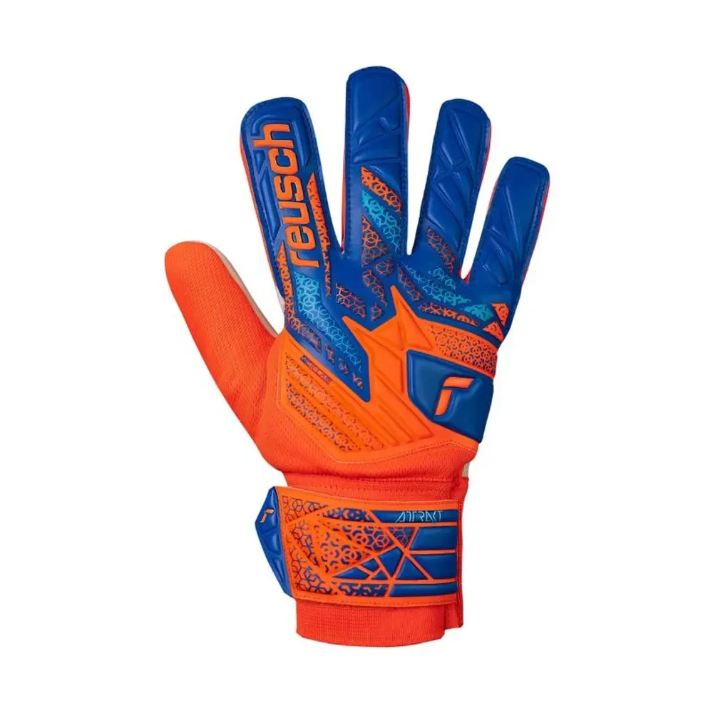 xlarge-clean_4c03d1edb413673c.webp