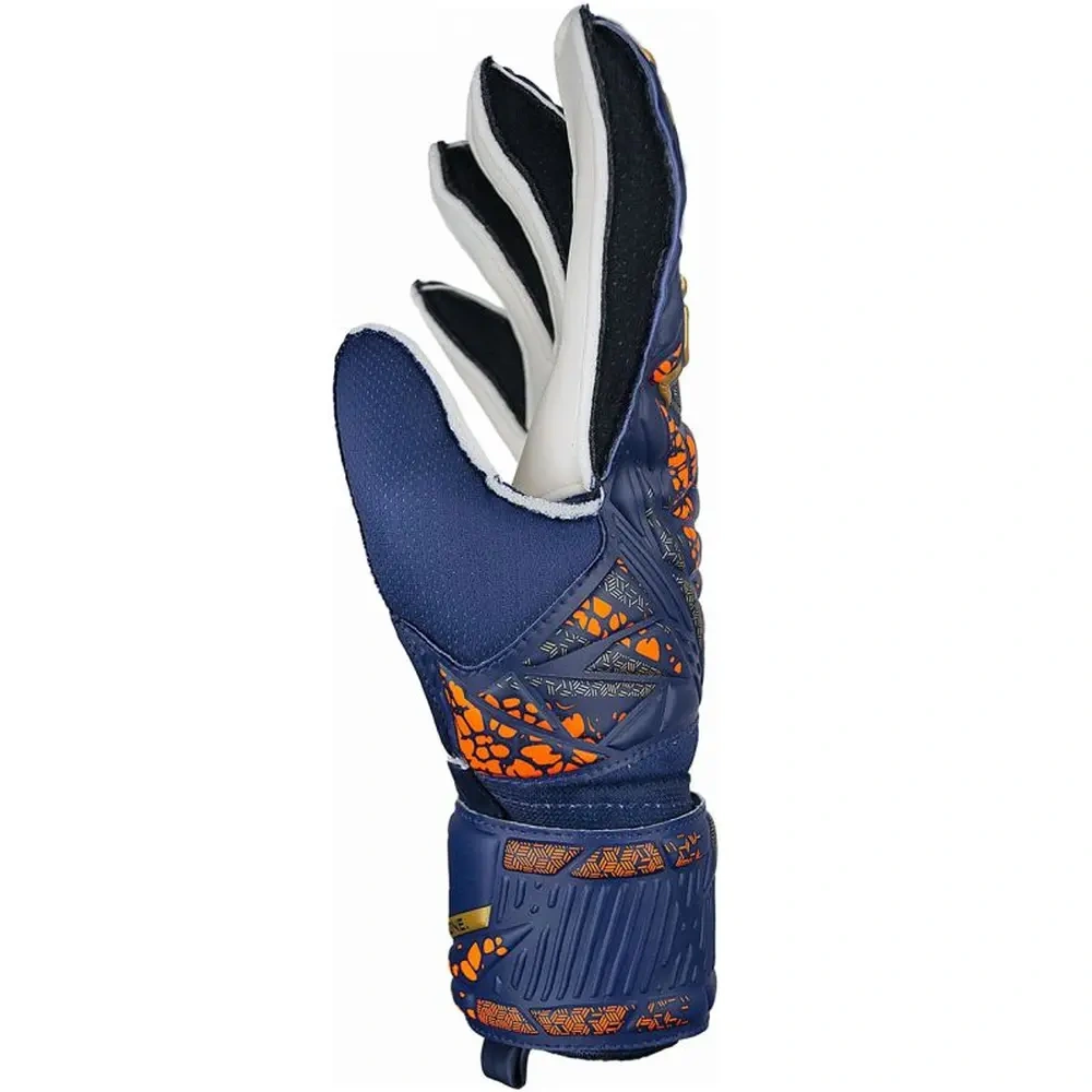 xlarge-clean_4cad173769609d72.webp