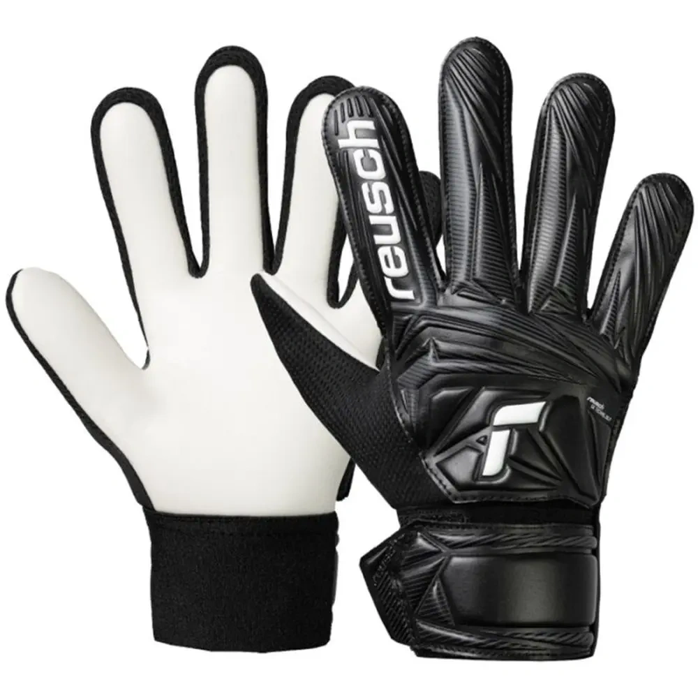 xlarge-clean_4d8b83e4f3664464.webp
