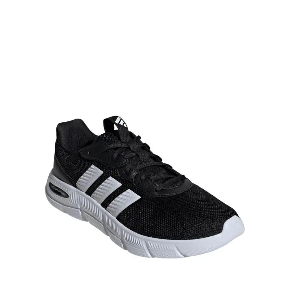 xlarge-clean_4da385d48c055599.webp