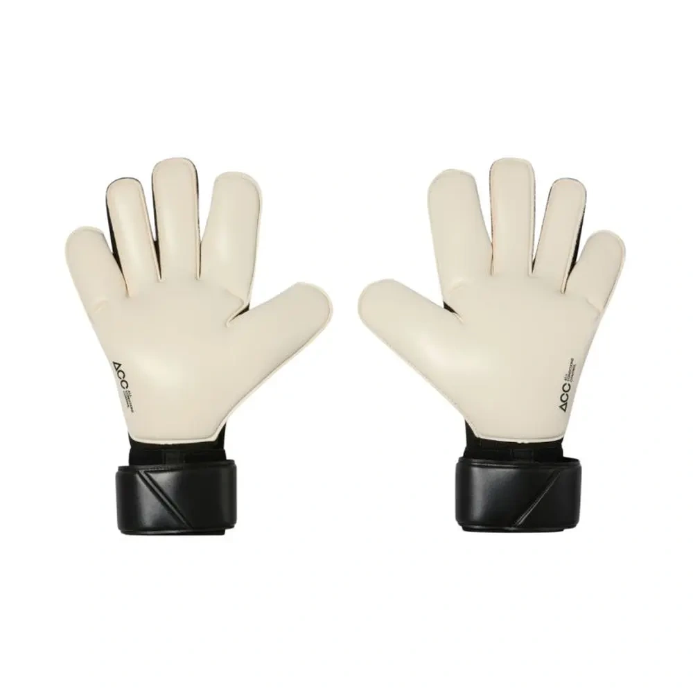 xlarge-clean_4e28ffe5f238b7ec.webp