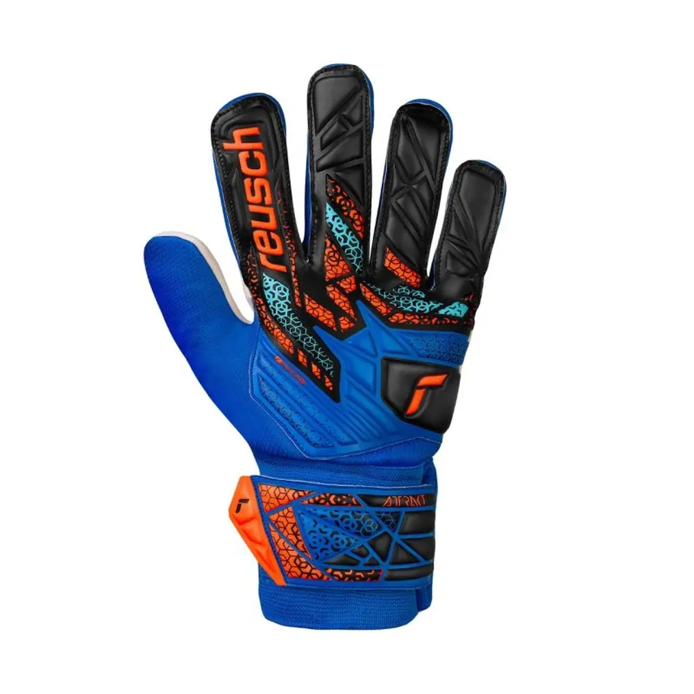 xlarge-clean_533503cada43996e.webp