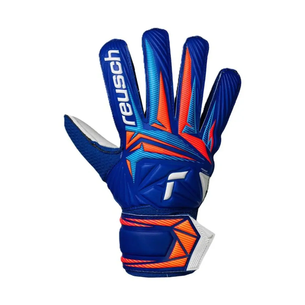 xlarge-clean_53979dc5eeb284a5.webp