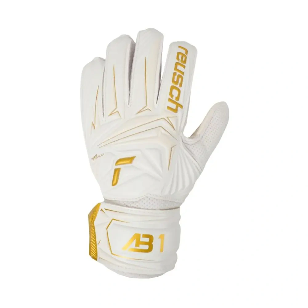 xlarge-clean_54c8b8fcb2e9d7ae.webp