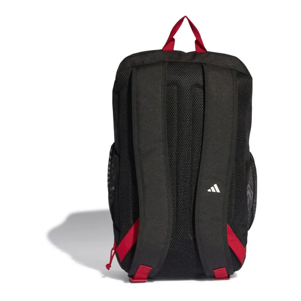 xlarge-clean_54f561e18623df82.webp