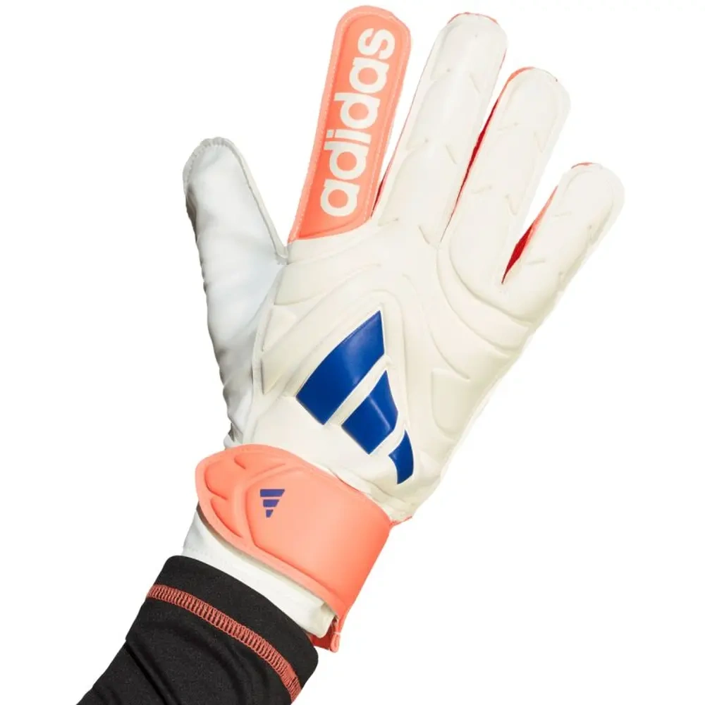 xlarge-clean_5a2d6184c3509d1e.webp