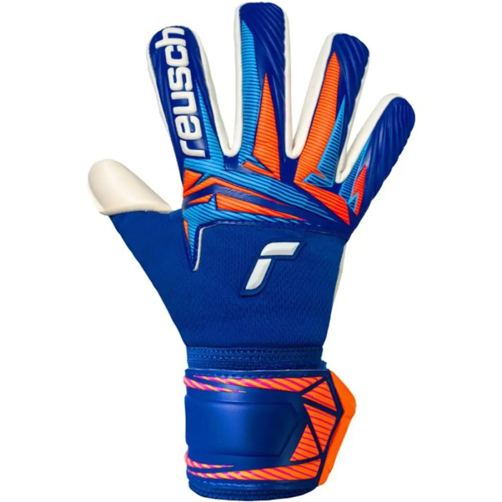 xlarge-clean_5b7b77dbc8a21d4e.webp