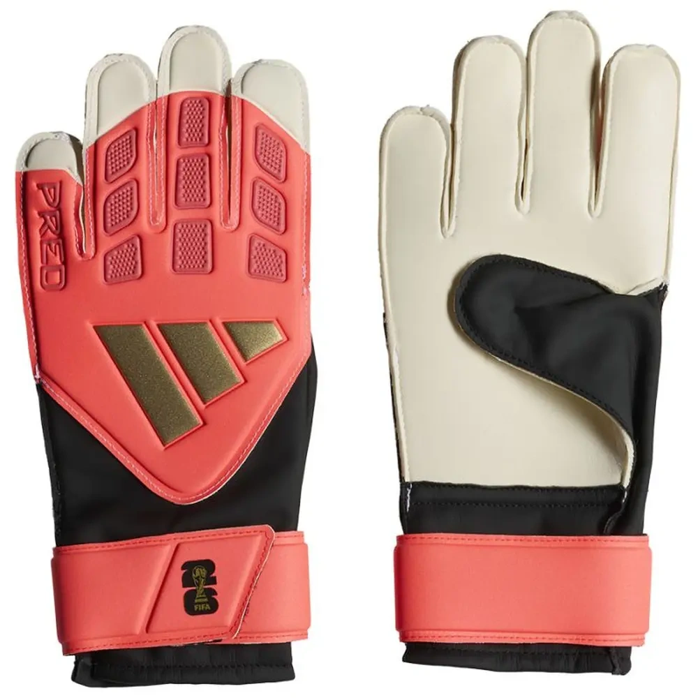 xlarge-clean_5b928b52cb8f90c3.webp