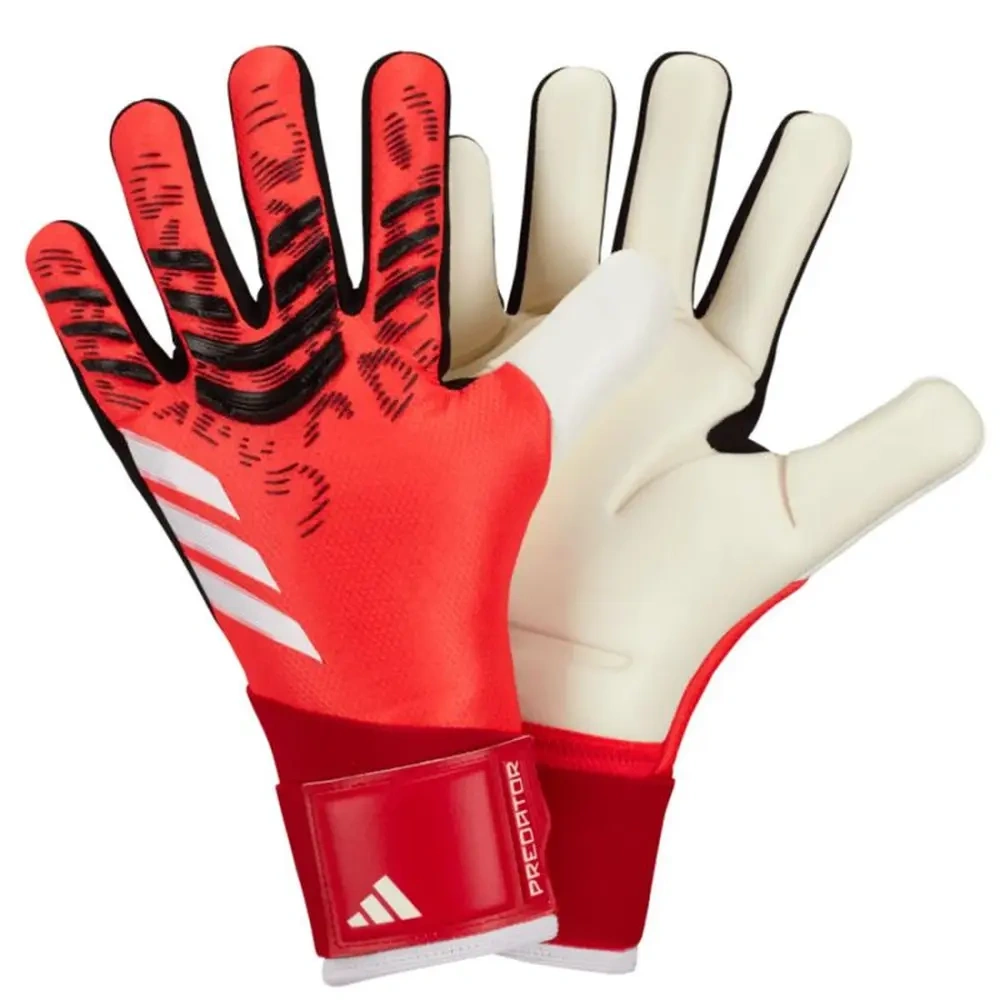 xlarge-clean_5f9f1bf8706d0ab2.webp