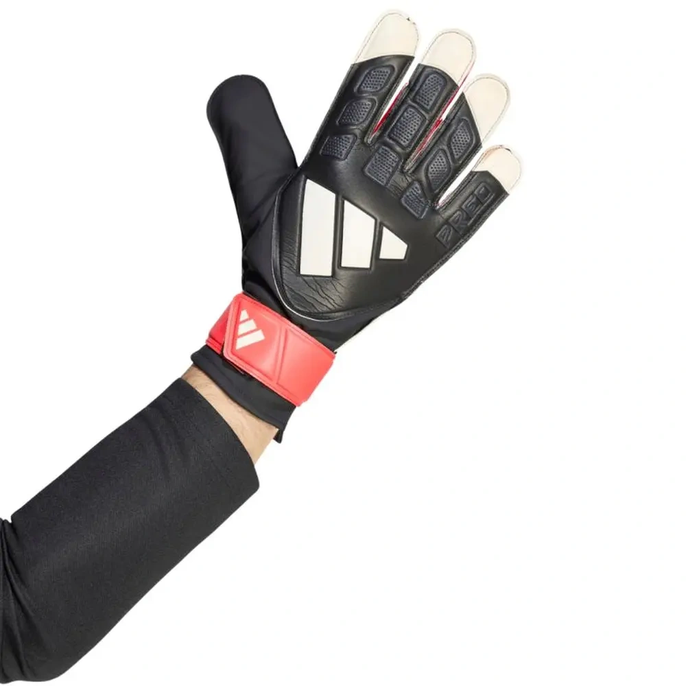 xlarge-clean_60c58b3fa3b15560.webp