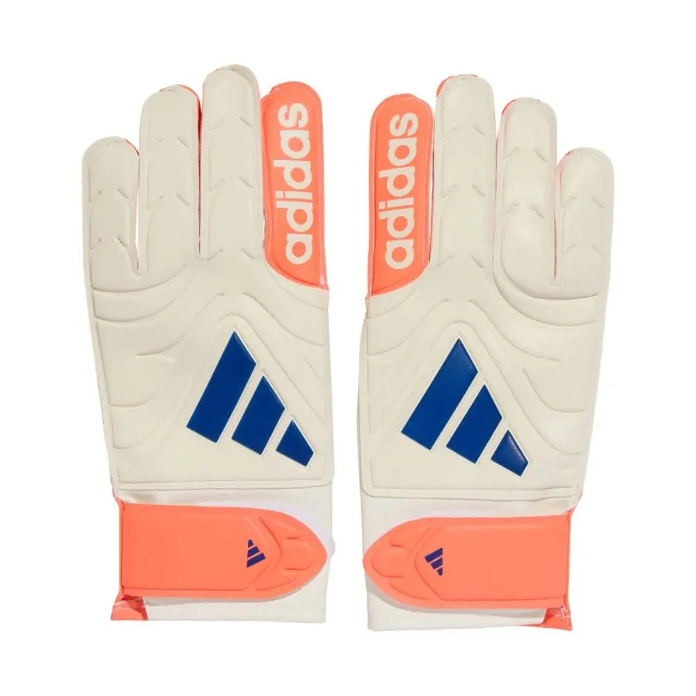 xlarge-clean_6107ebedd0b5b6aa.webp