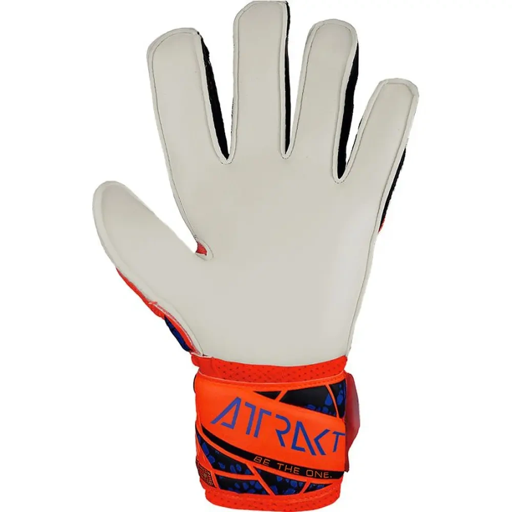 xlarge-clean_6264f29ced0c5e34.webp