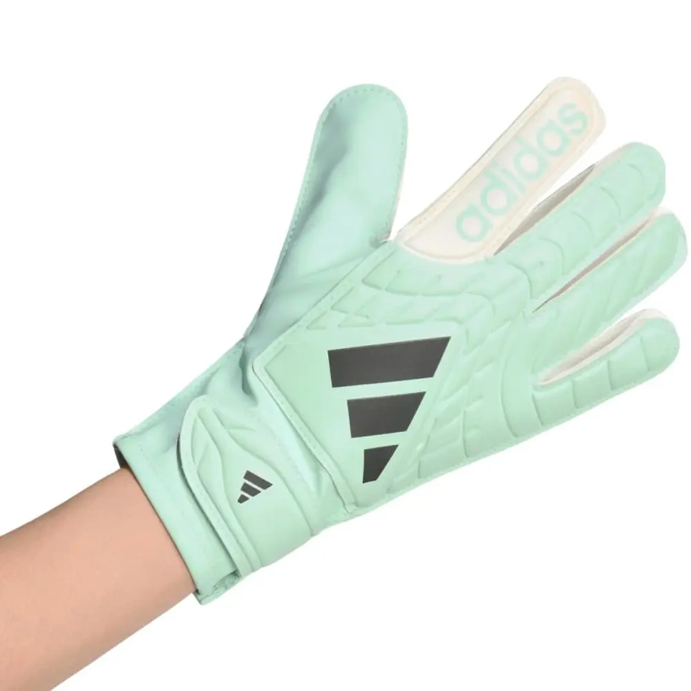 xlarge-clean_628aff183435f437.webp
