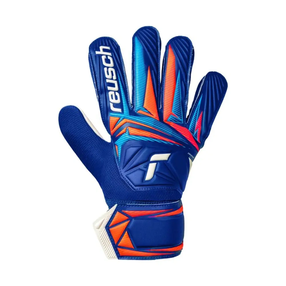 xlarge-clean_64ecbf7716f80603.webp