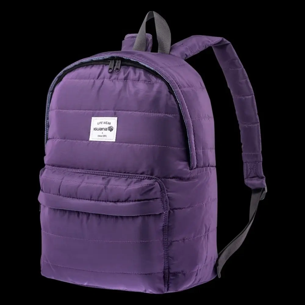 xlarge-clean_666dcdd685e6a5bd.webp