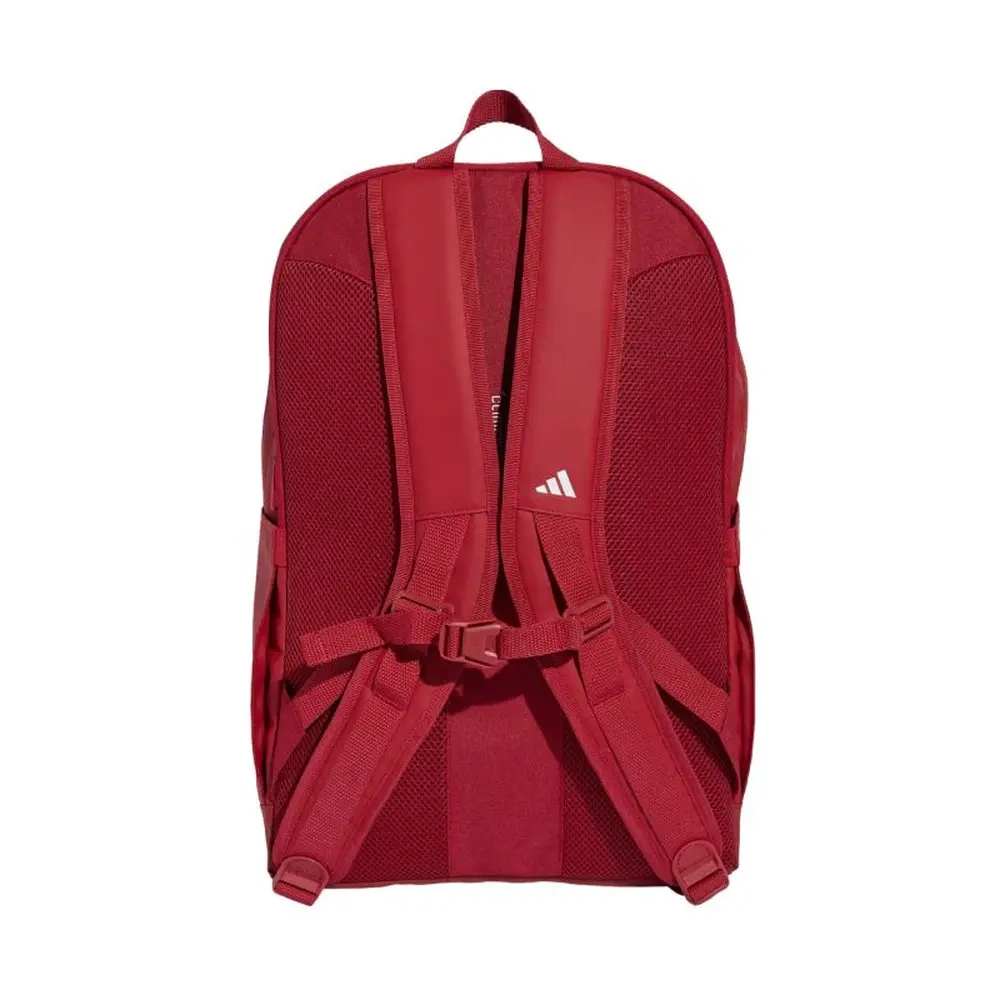 xlarge-clean_669ed79a6a963c08.webp