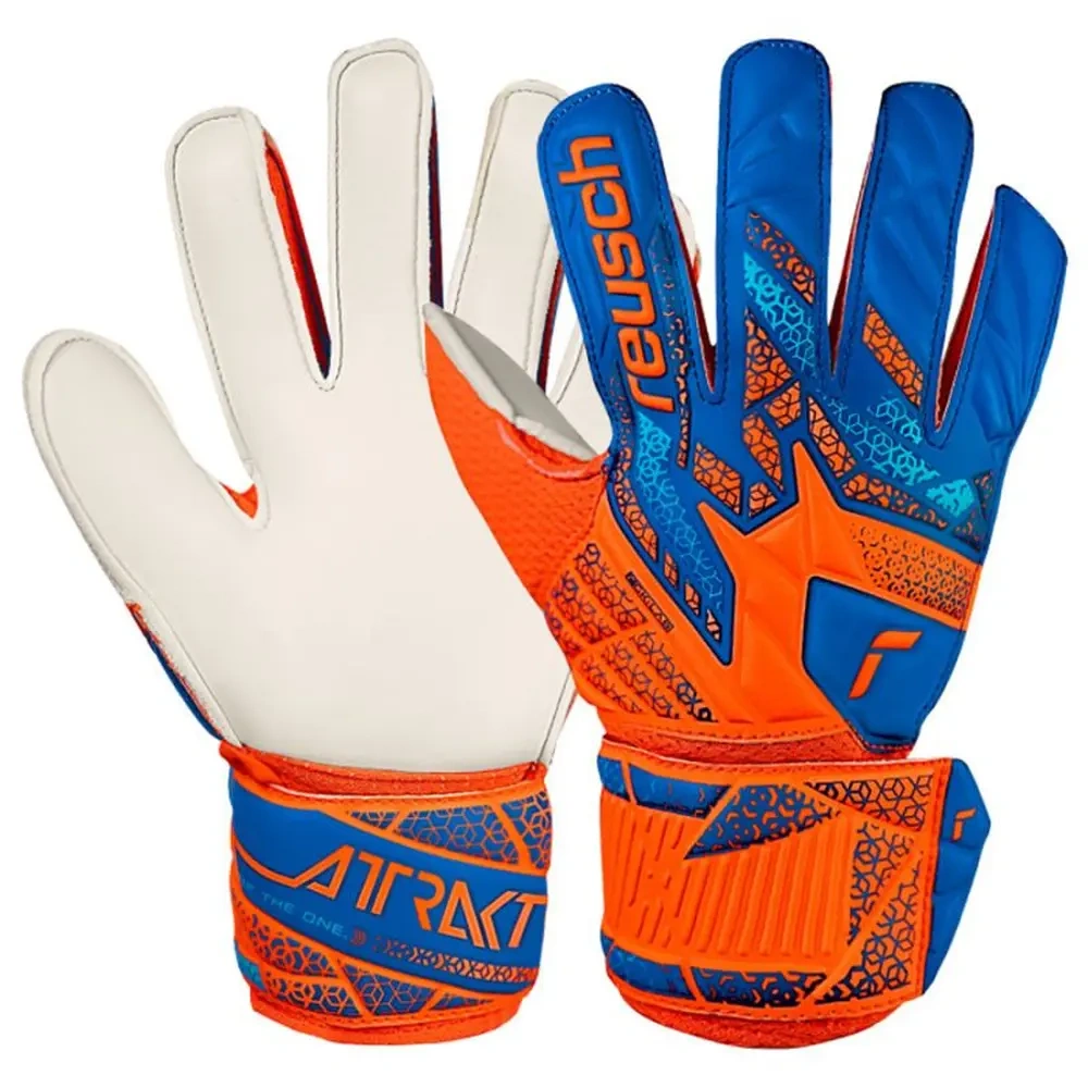 xlarge-clean_66eb6bd804f4aeeb.webp