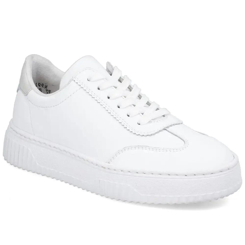 xlarge-clean_699f8f8d30a8f9cf.webp