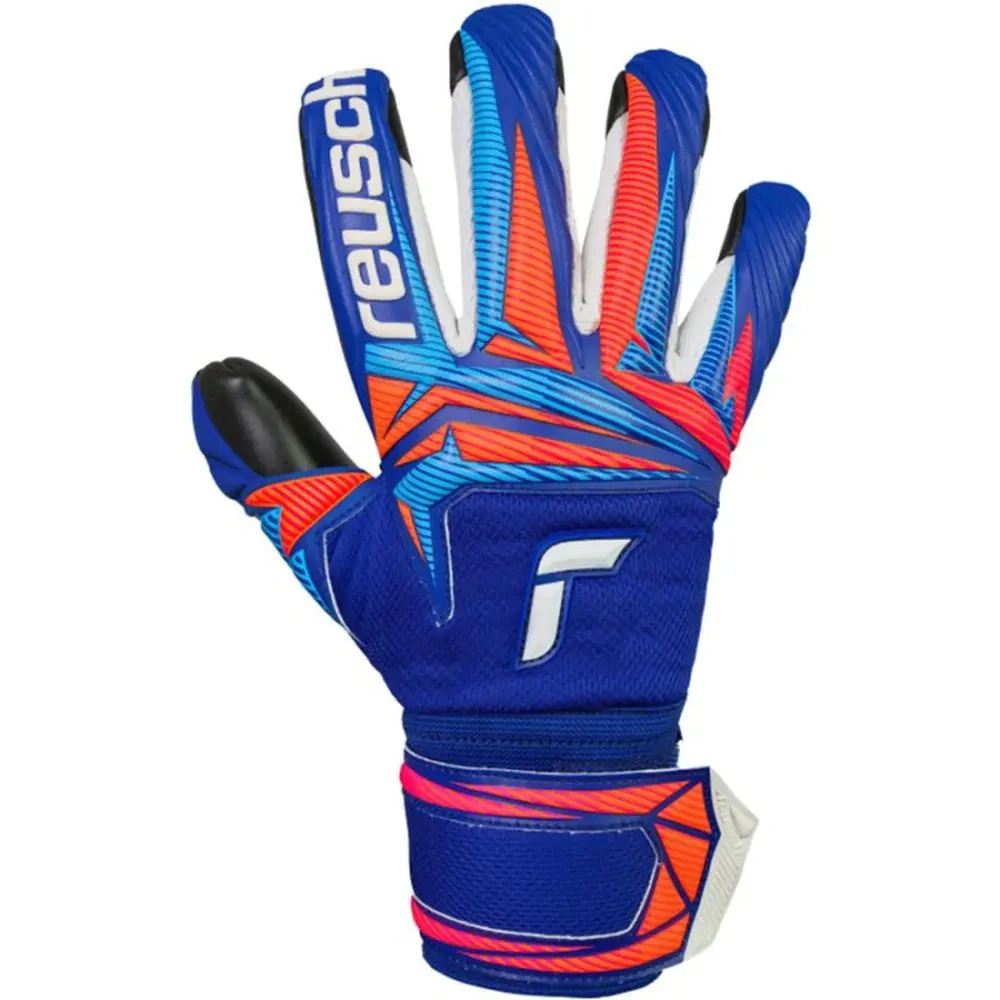 xlarge-clean_6bc449e0a2eef945.webp