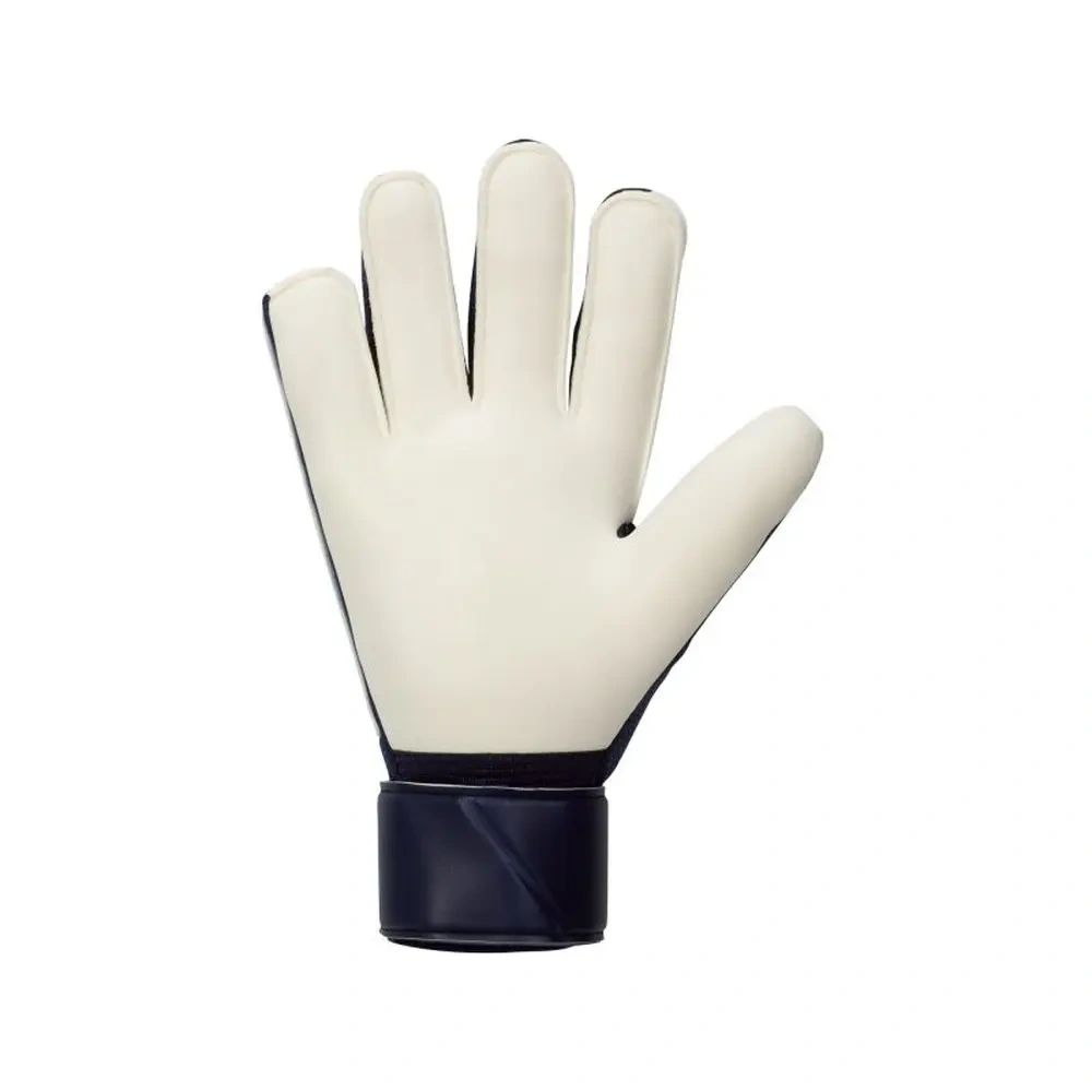 xlarge-clean_6d02088ef5897fc5.webp