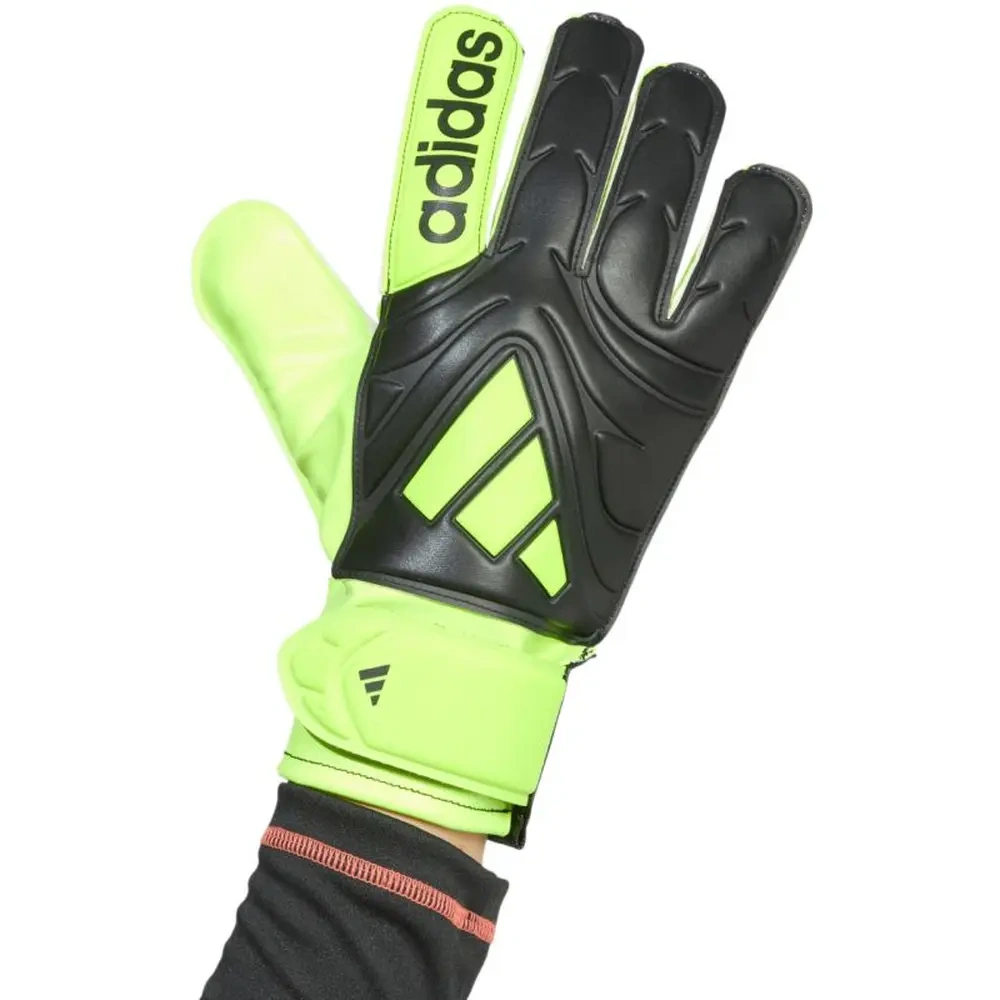 xlarge-clean_6f7472b7346ecbd4.webp