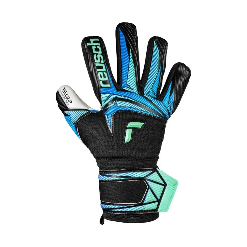 xlarge-clean_7053fdf6a233dae8.webp
