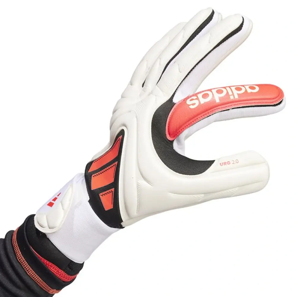 xlarge-clean_70ef9f8fd6cc25ab.webp