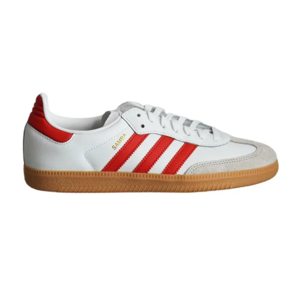 xlarge-clean_71d1f491f683e352.webp