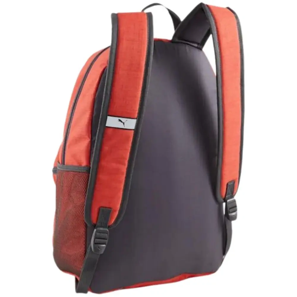xlarge-clean_71e6a5ad9a3f9b02.webp