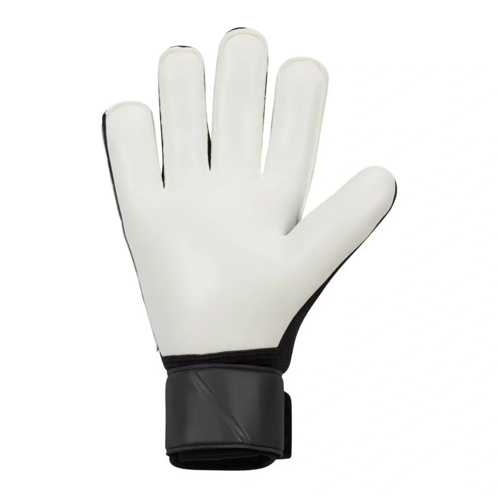 xlarge-clean_71f9ddb2fc331e9b.webp