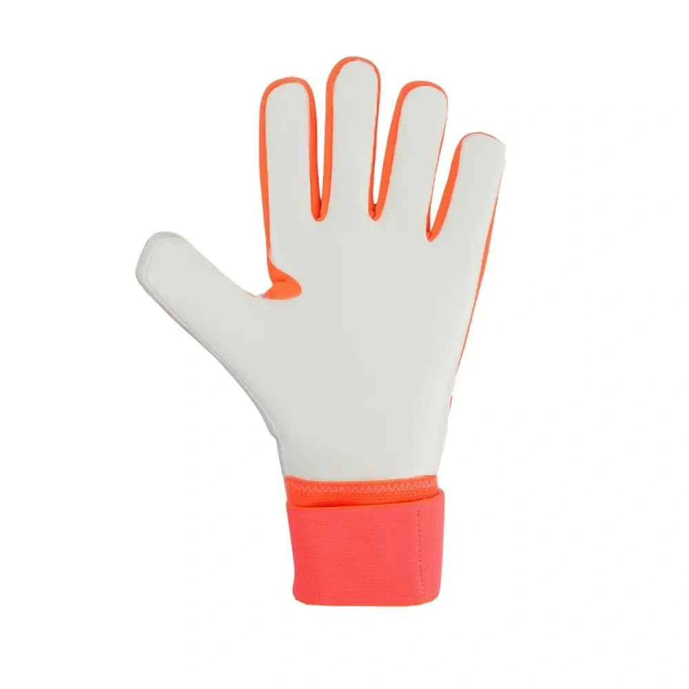 xlarge-clean_734b037c016dc2c1.webp