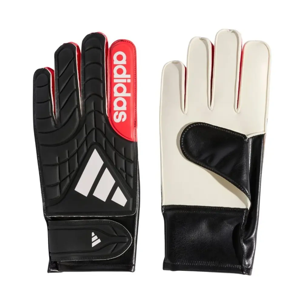 xlarge-clean_7420388cddc037c0.webp
