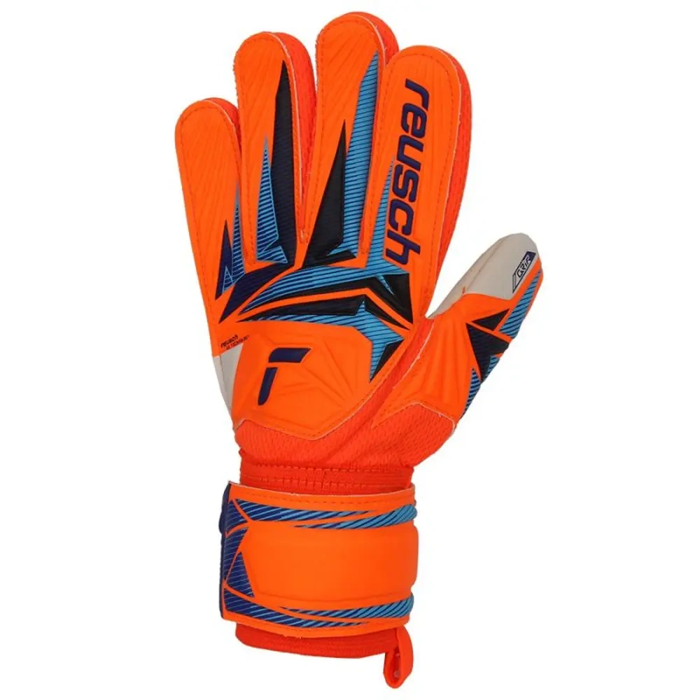 xlarge-clean_743b85a6d2f9e708.webp