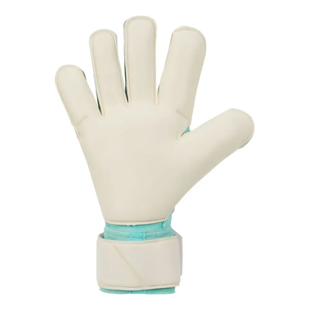 xlarge-clean_74775e4451de3182.webp