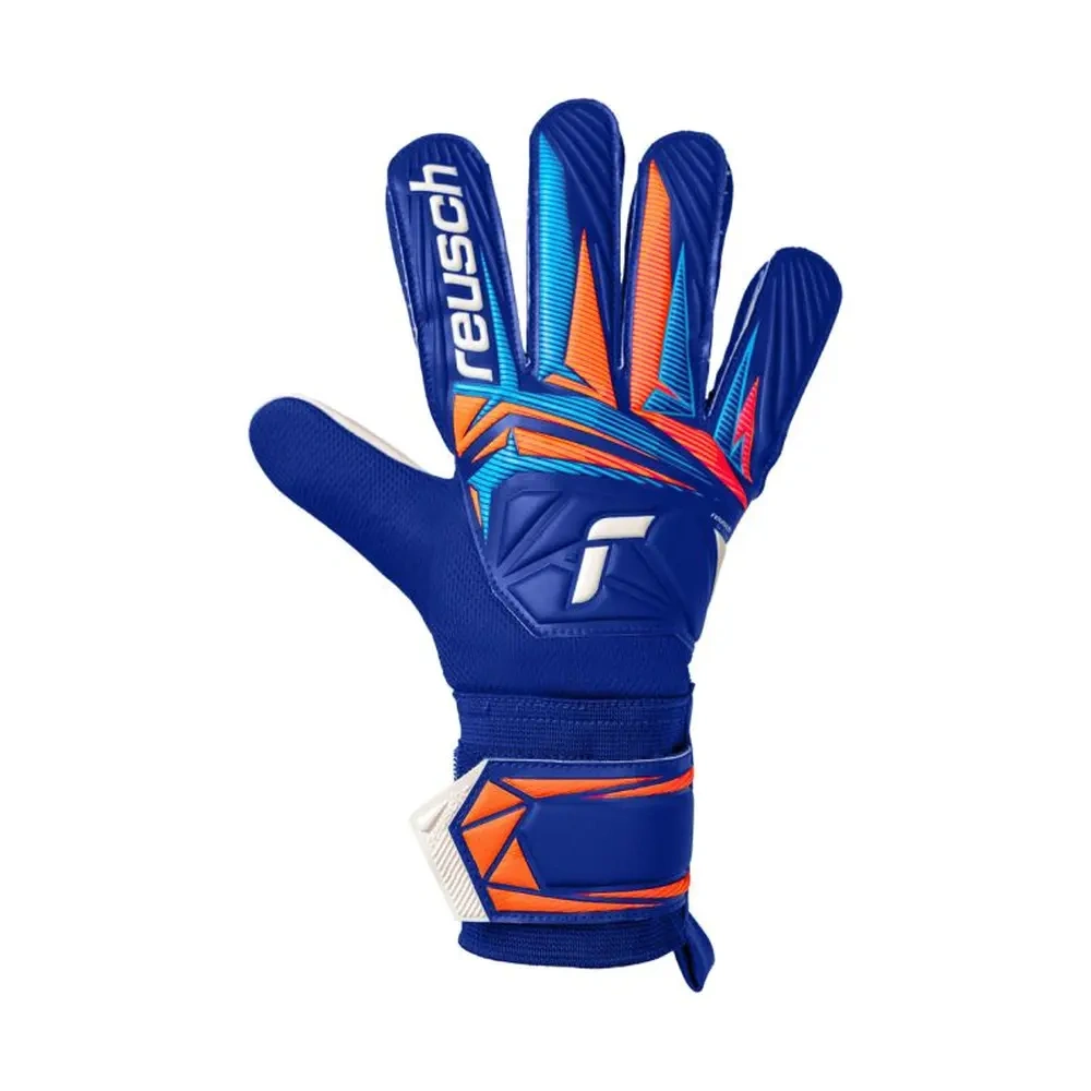 xlarge-clean_74a813e285c24de3.webp