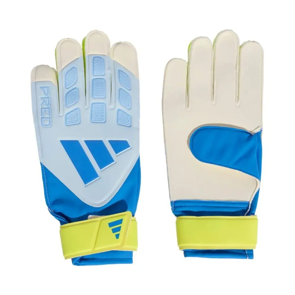 xlarge-clean_7b9ca356d6a52ccc.webp