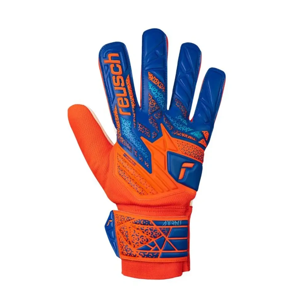 xlarge-clean_7c065b8b7f4d98f2.webp