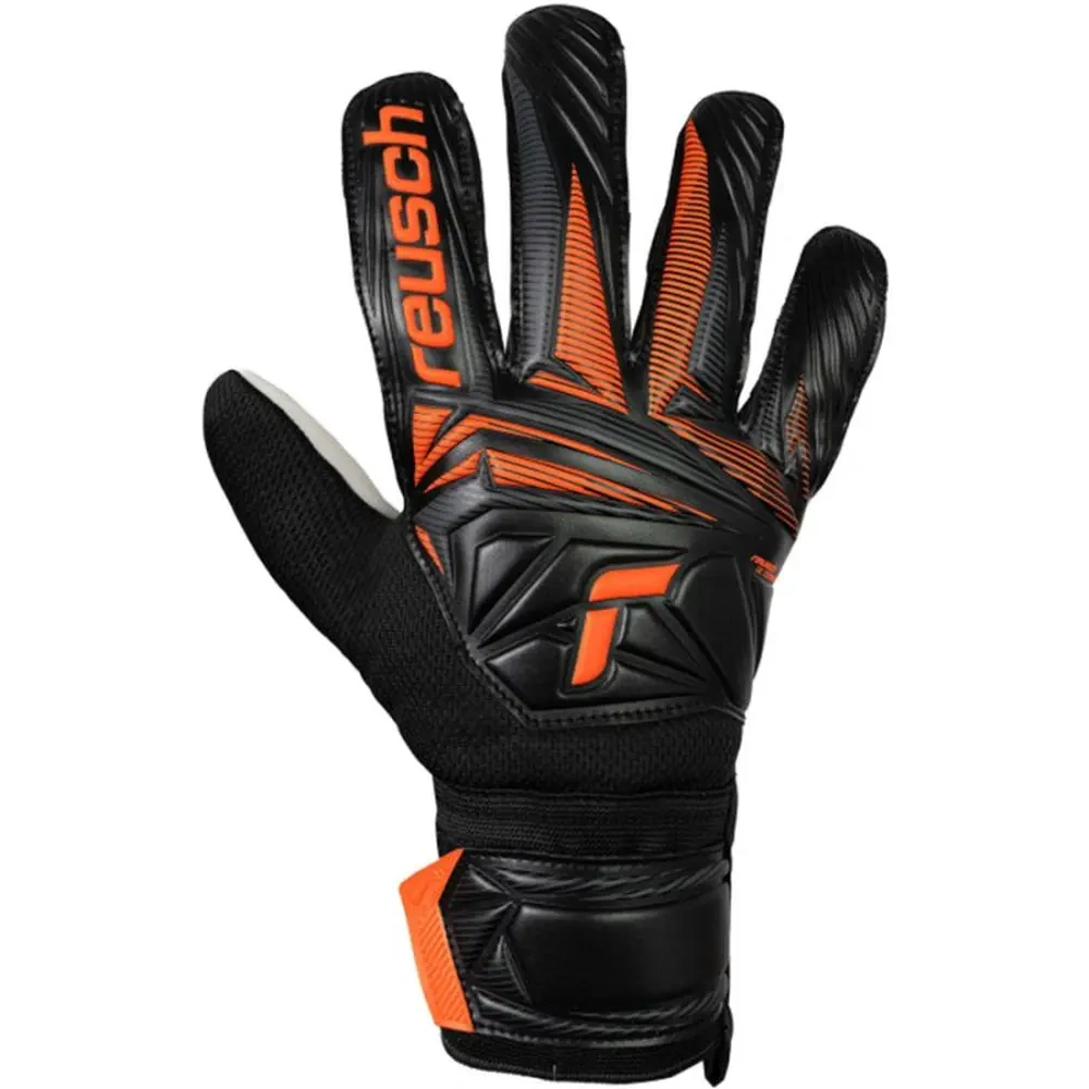 xlarge-clean_7c2db6278ef5a728.webp