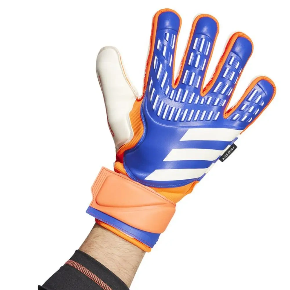 xlarge-clean_7cb8c906248ed80e.webp