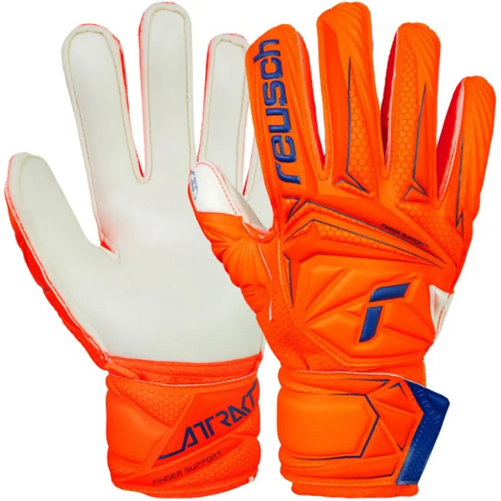 xlarge-clean_7dd6f80854606d8a.webp