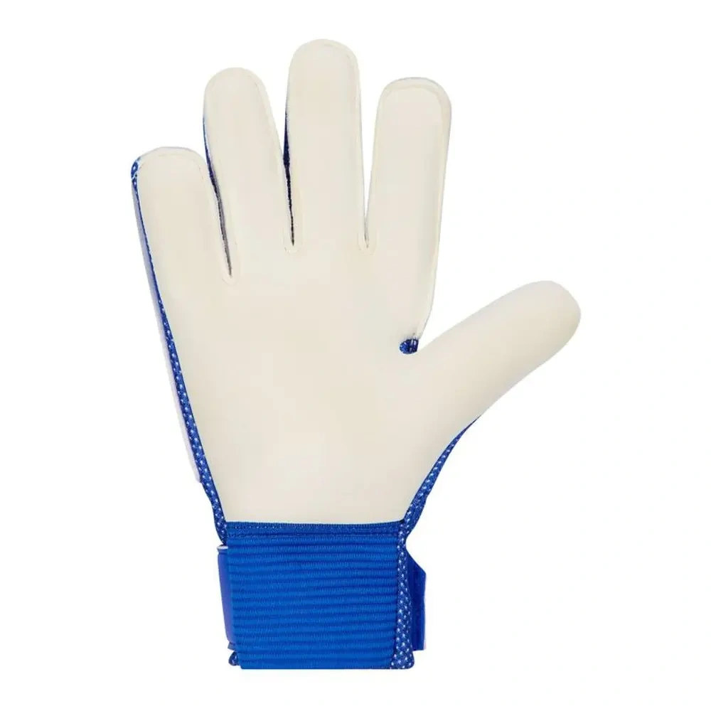 xlarge-clean_806b5367a61505d2.webp
