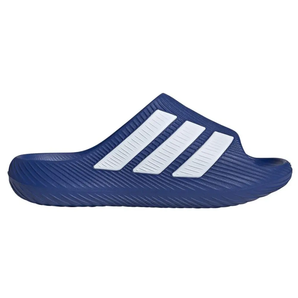 xlarge-clean_80c9bb2c0c321a44.webp
