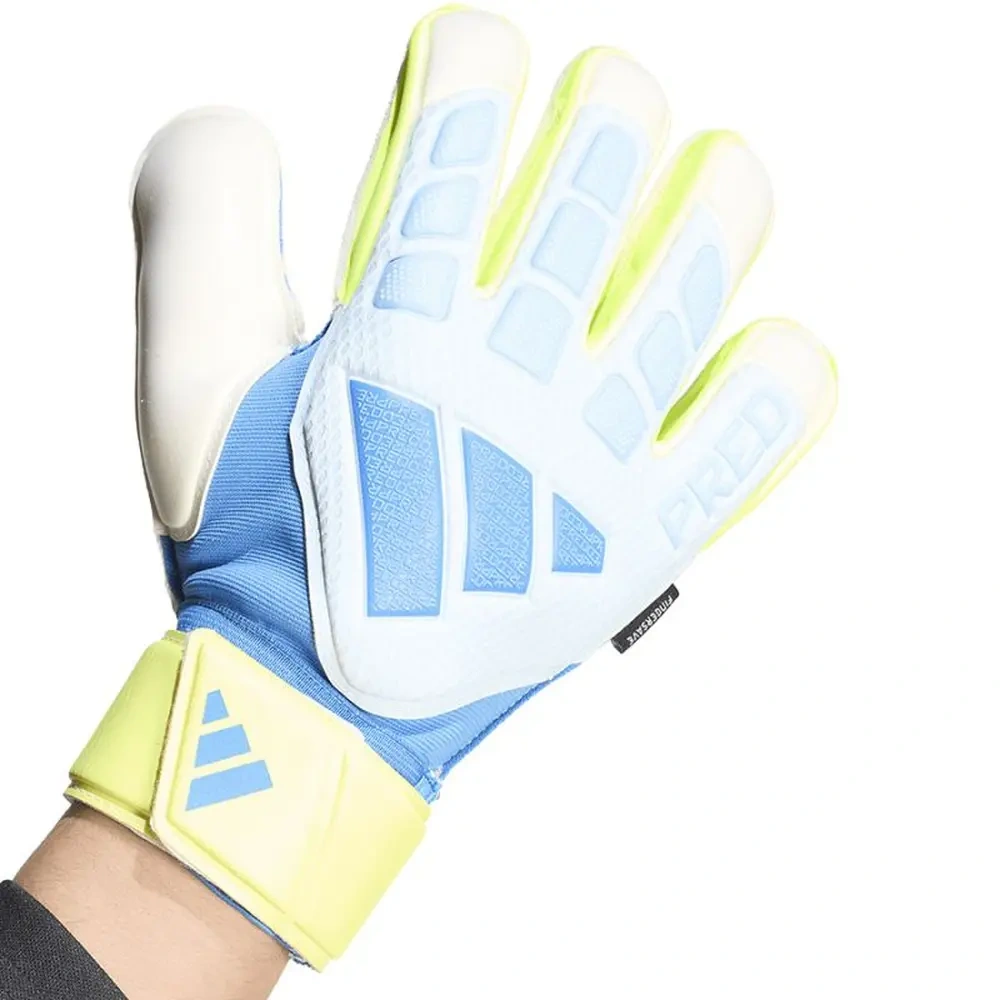 xlarge-clean_818484506b9a9a79.webp