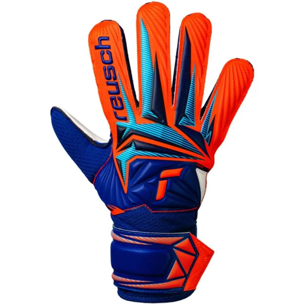 xlarge-clean_81f61b6735d942ed.webp