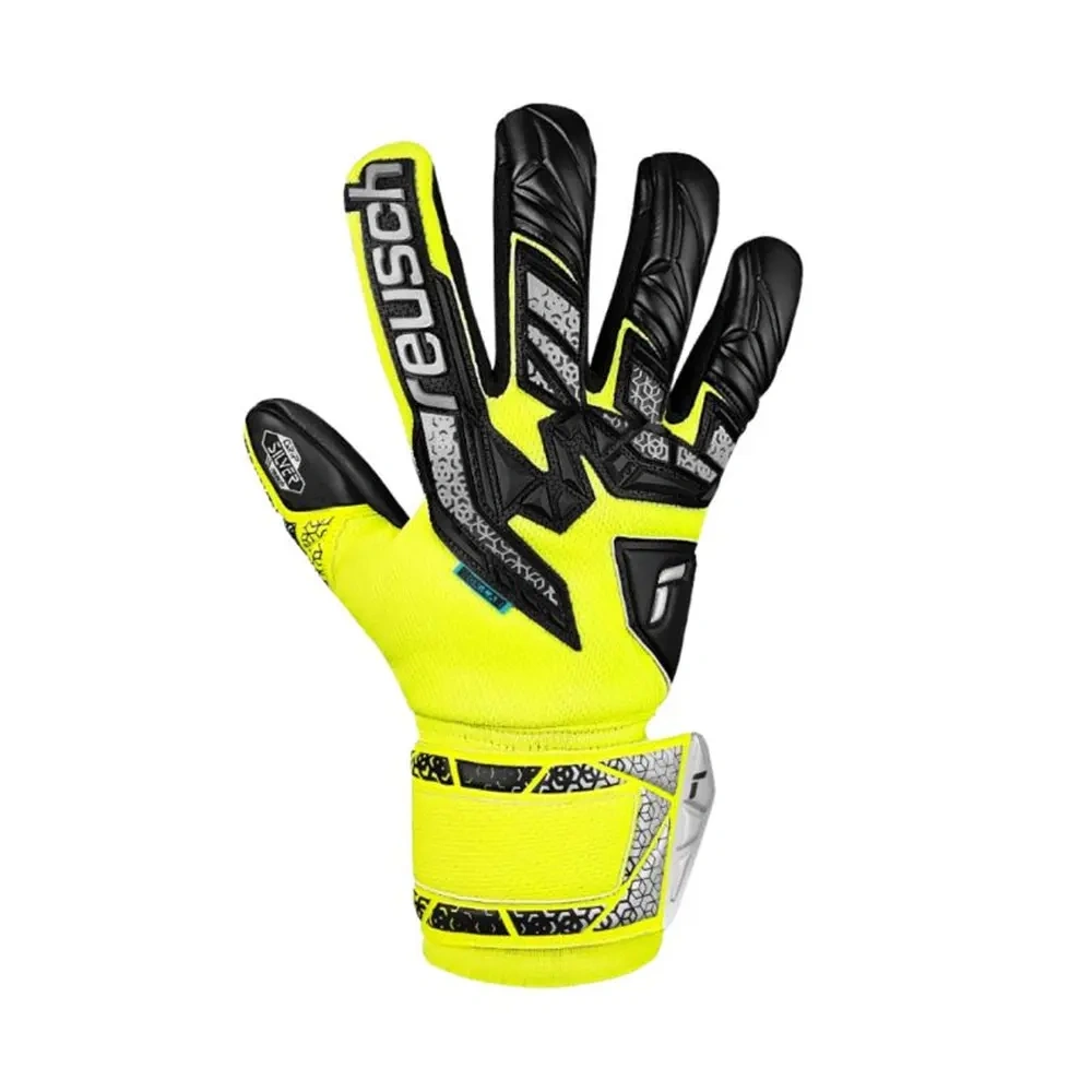 xlarge-clean_839a60fcc79076f9.webp