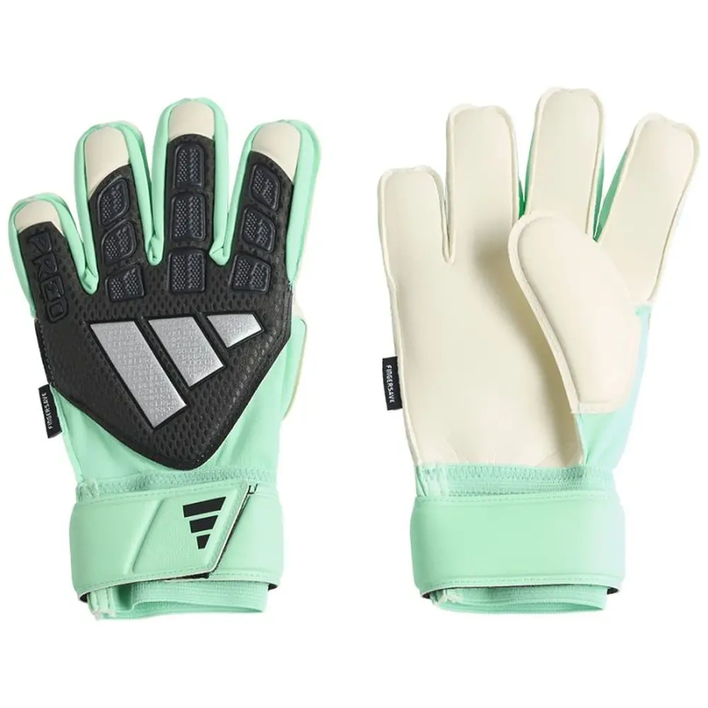xlarge-clean_8536c875797c3014.webp