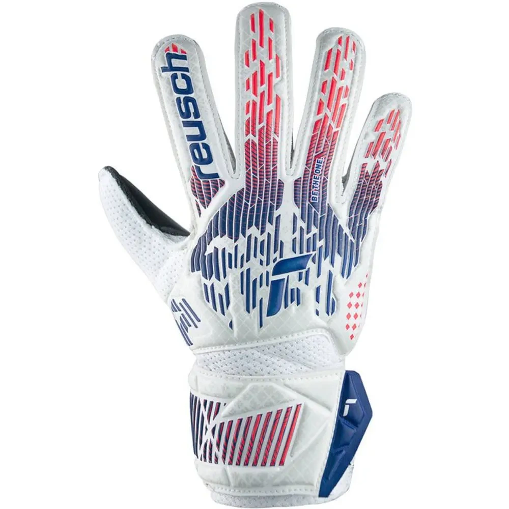 xlarge-clean_8559c7d3237cf635.webp