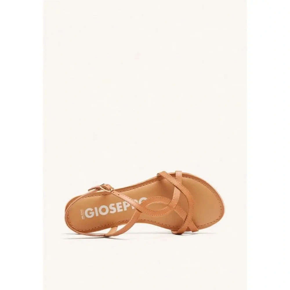 xlarge-clean_85a17f6c557dbc0a.webp