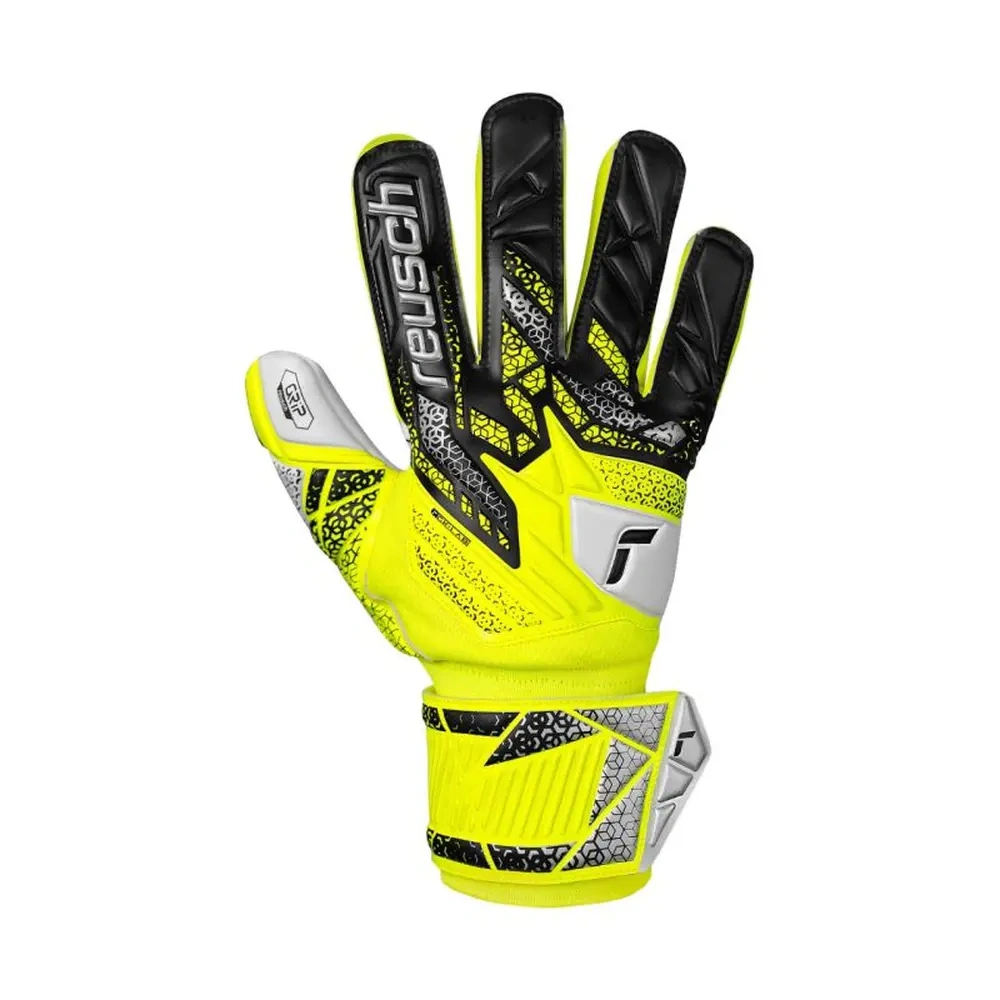 xlarge-clean_86331489b94f0954.webp