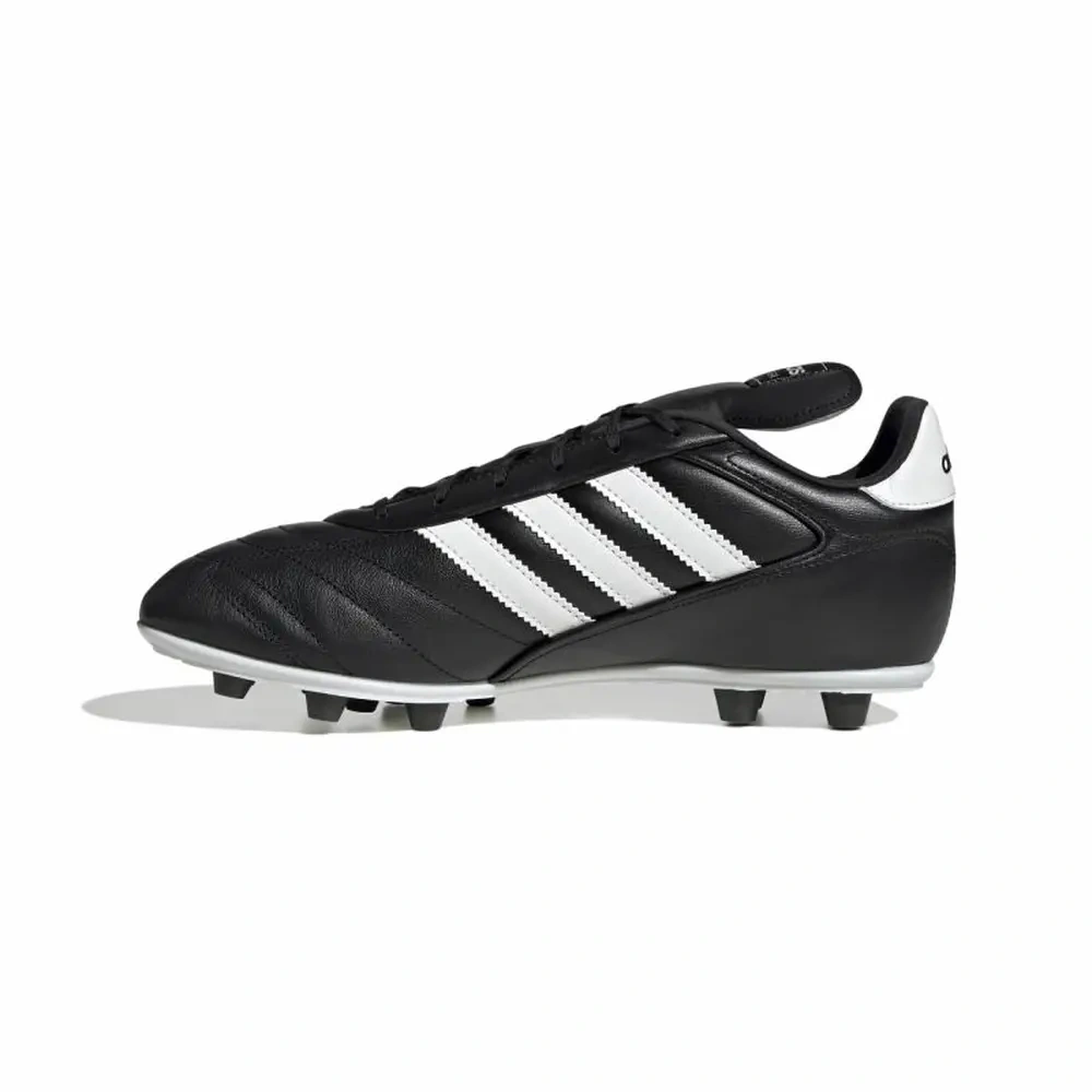 xlarge-clean_87abde04f25f5686.webp